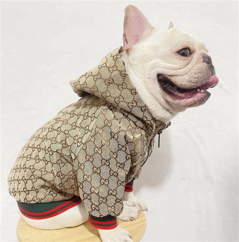 gucci blue coat|Gucci coats for pets.